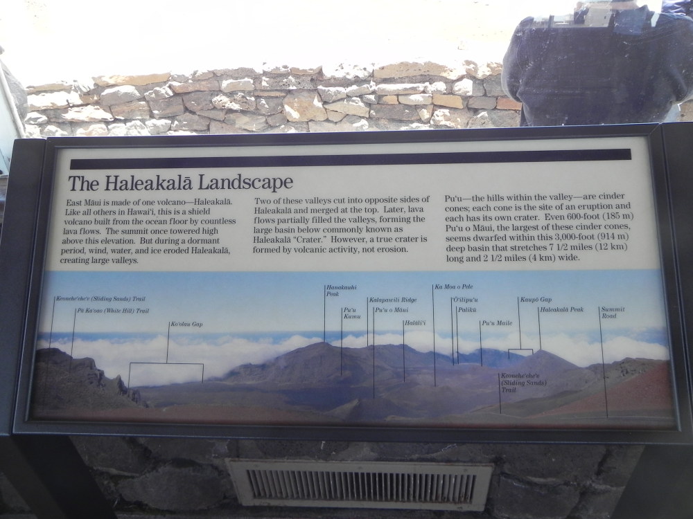 DSCN5489.JPG